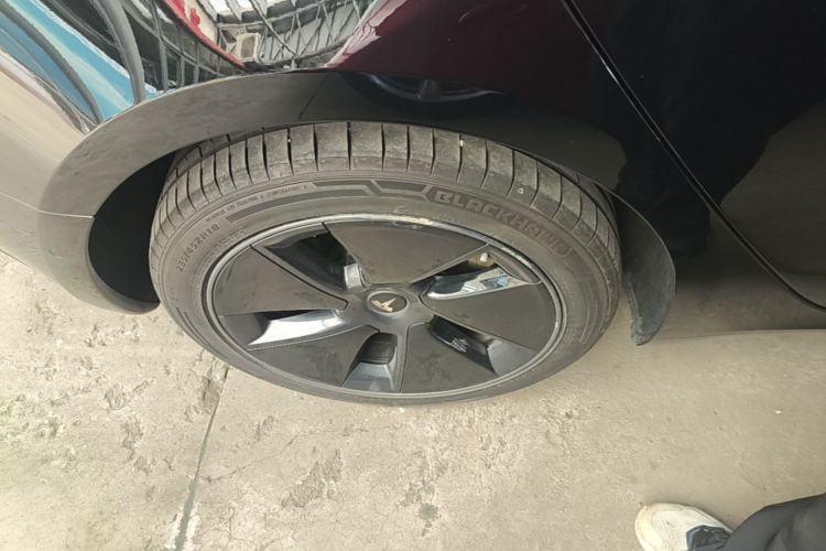 Tesla Model 3 2021 car image #10