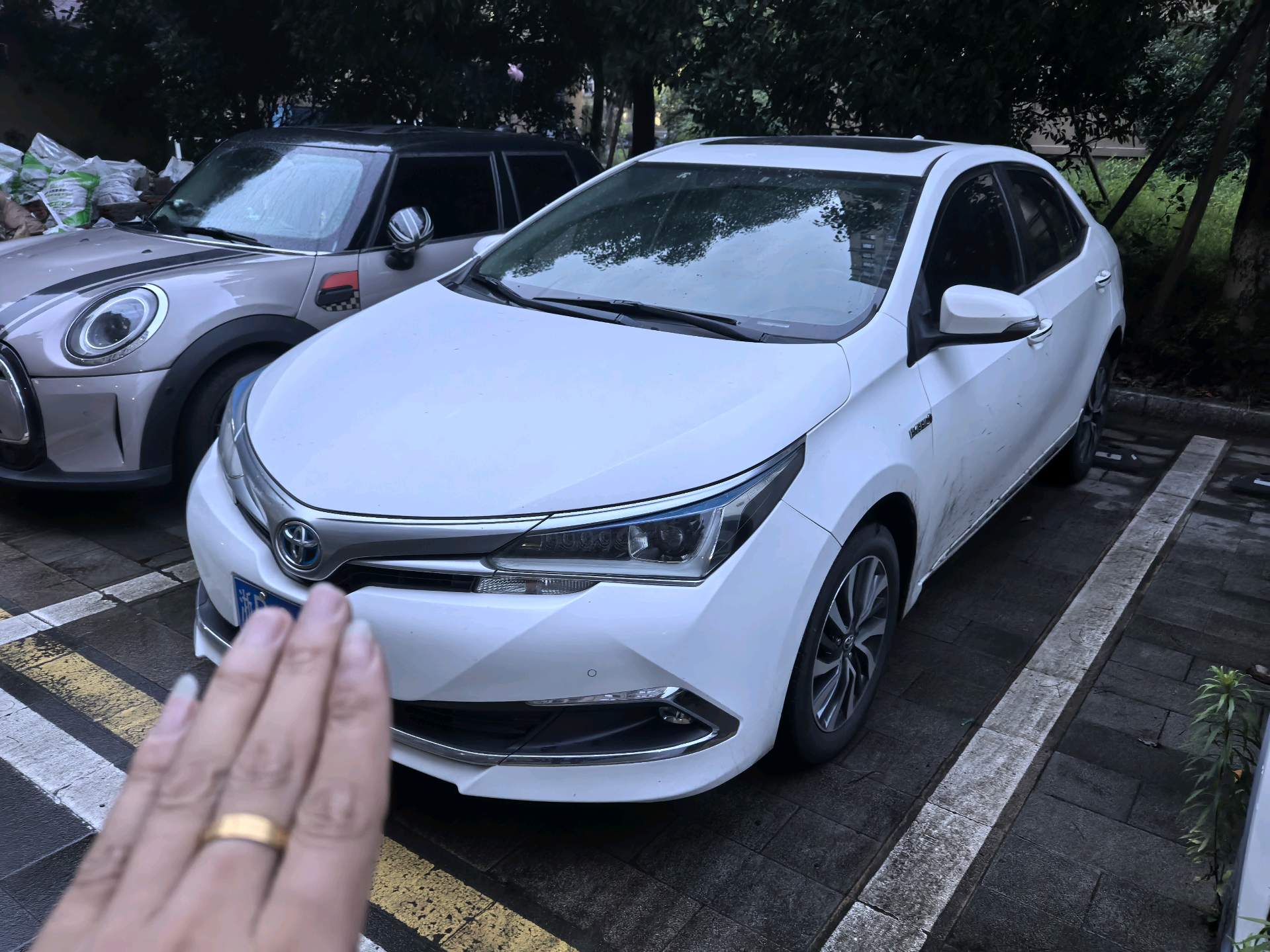 Toyota Corolla 2018 Toyota Corolla 2018 car image