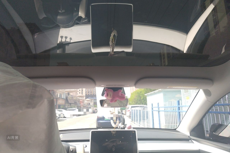 Tesla Model Y 2022 car image #20