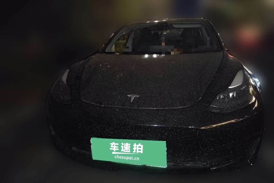Tesla Model 3 2023 #5 Tesla Model 3 2023 car image #5