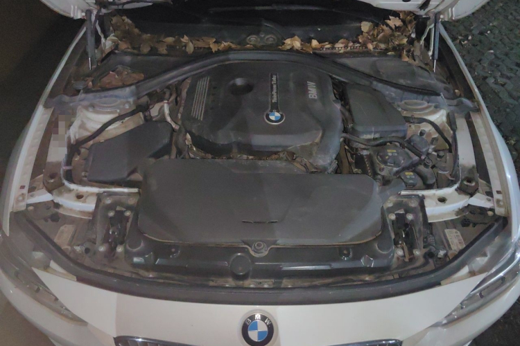BMW 3 Series 2018 car image #27