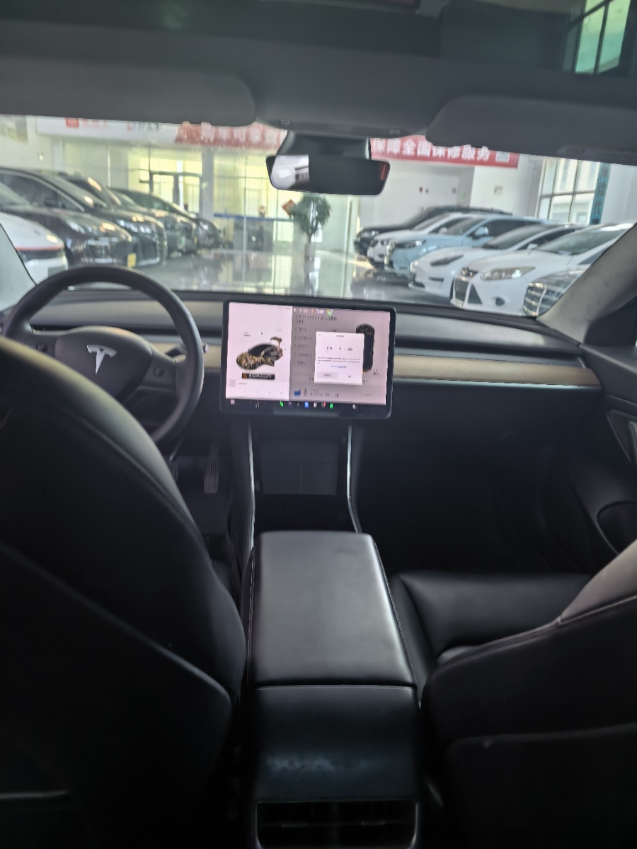 Tesla Model 3 2020 car image #6