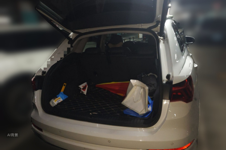 奥迪 奥迪Q3 2019 汽车图片 #21