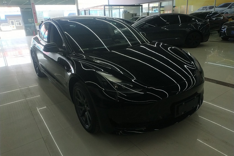 Tesla Model 3 2021 #4 Tesla Model 3 2021 immagine di auto #4