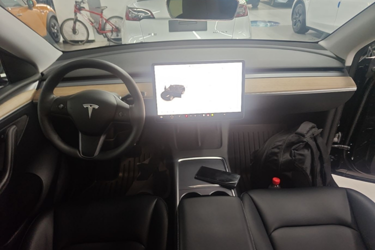 Tesla Model Y 2022 car image #10