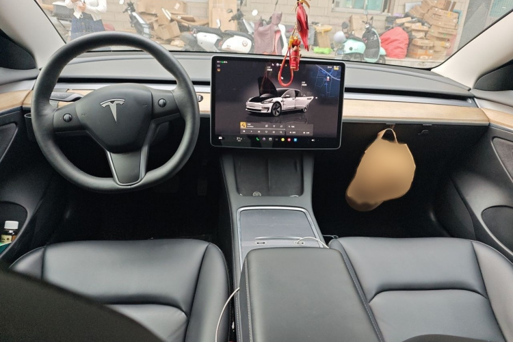 Tesla Model 3 2022 car image #12