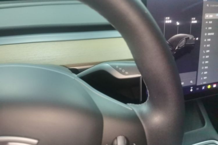 Tesla Model Y 2021 car image #14