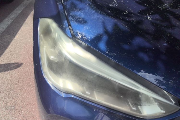 BMW X1 2017 #8 BMW X1 2017 car image #8