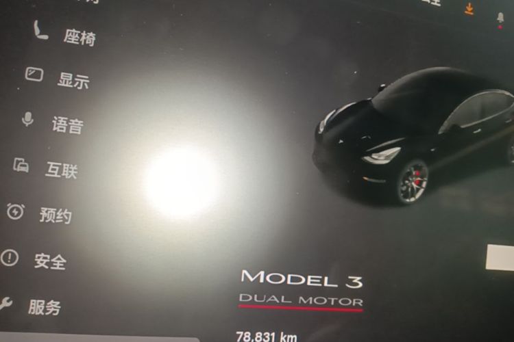 Tesla Model 3 2022 immagine di auto #20