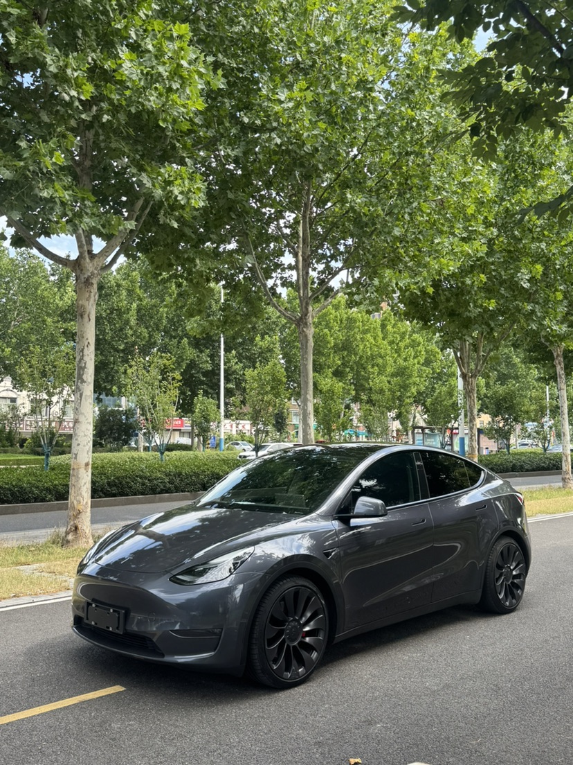 Tesla Model Y 2023 car image 