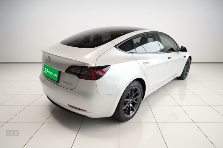 Tesla Model 3 2021 car image #7
