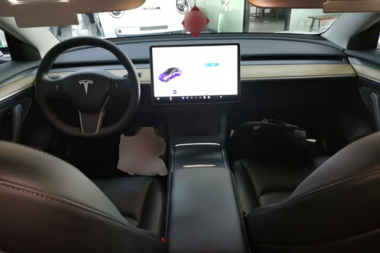 Tesla Model 3 2021 car image #10