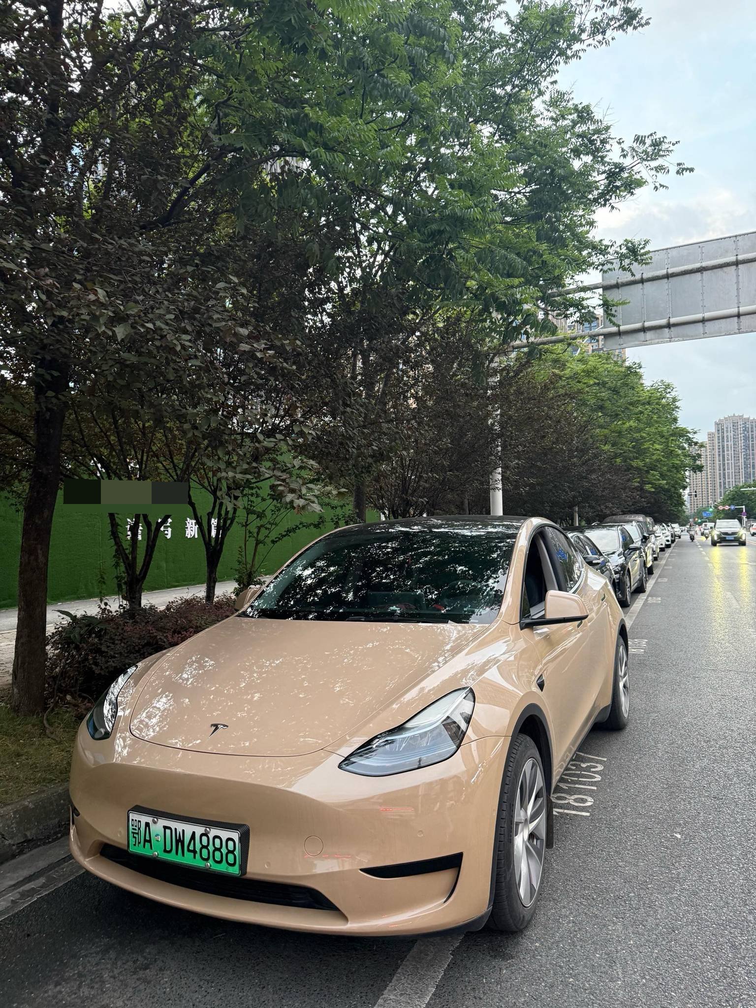 Tesla Model Y 2022 car image 