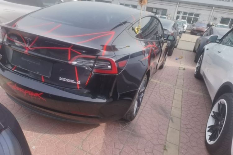 Tesla Model 3 2021 #8 Tesla Model 3 2021 car image #8