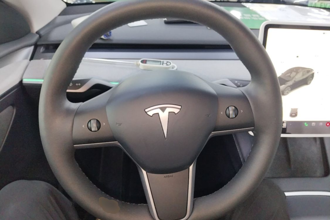 Tesla Model Y 2023 car image #16