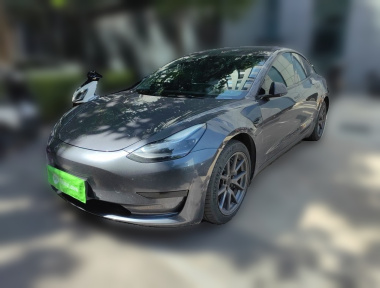 Tesla Model 3 2021 car image 