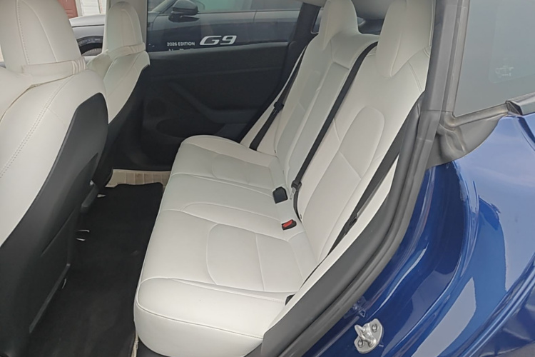 Tesla Model 3 2021 car image #17