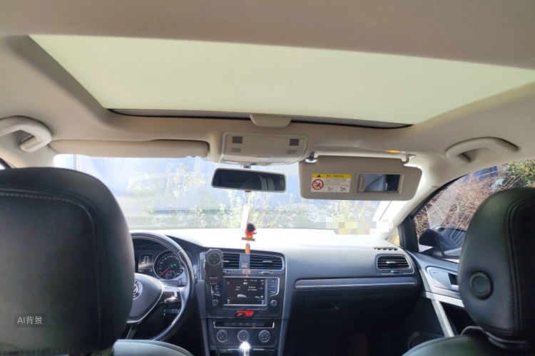 大众 高尔夫 2017 汽车图片 #20