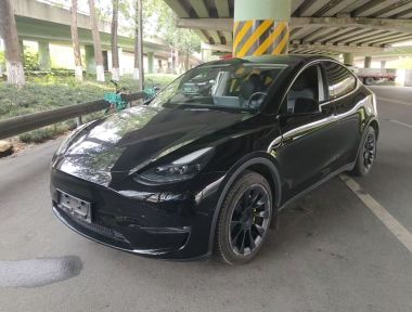 Tesla Model Y 2024 car image 