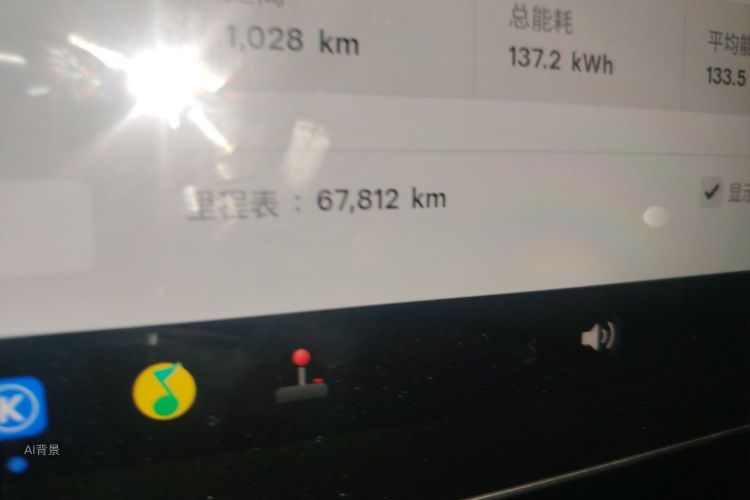 Tesla Model Y 2022 car image #14