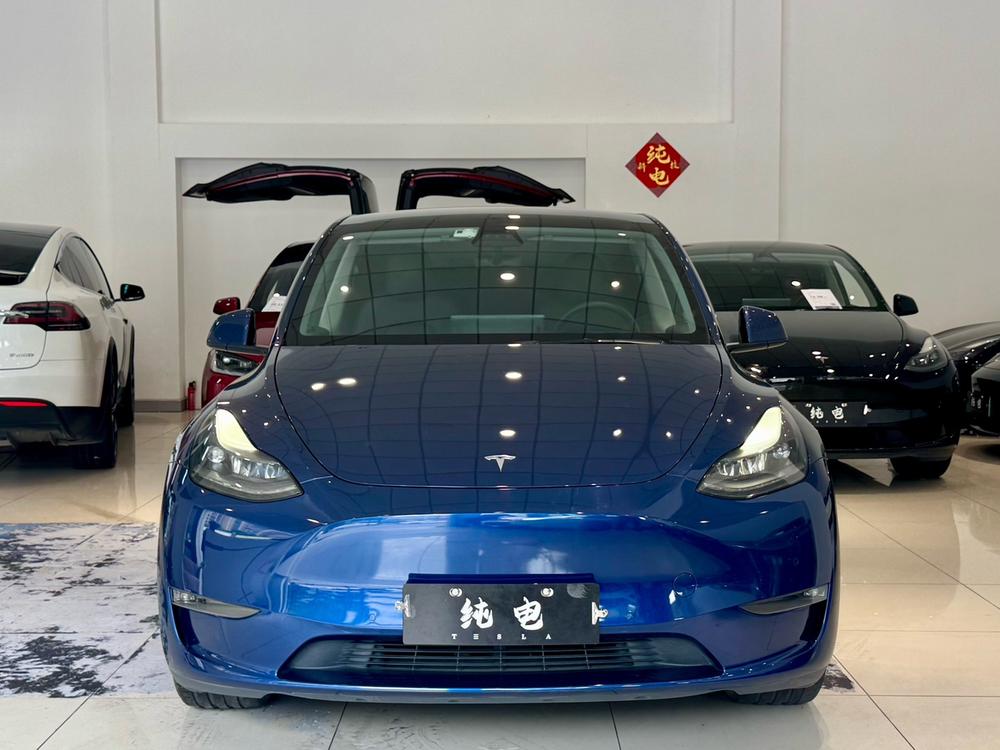 Tesla Model Y 2021 #2 Tesla Model Y 2021 car image #2