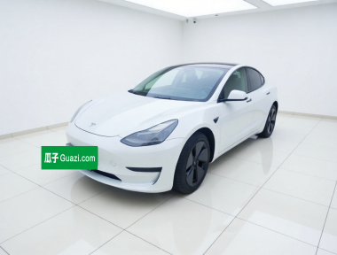 Tesla Model 3 2021 car image 