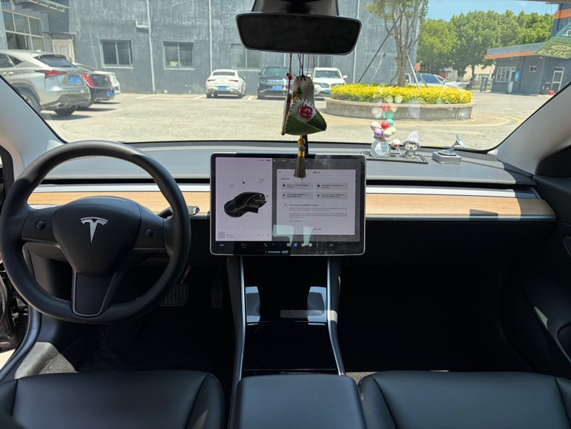 Tesla Model 3 2020 #9 Tesla Model 3 2020 car image #9
