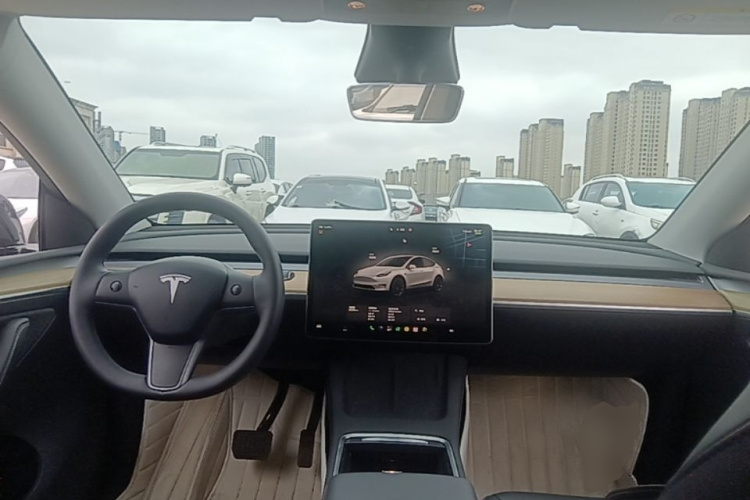 Tesla Model Y 2023 car image #10
