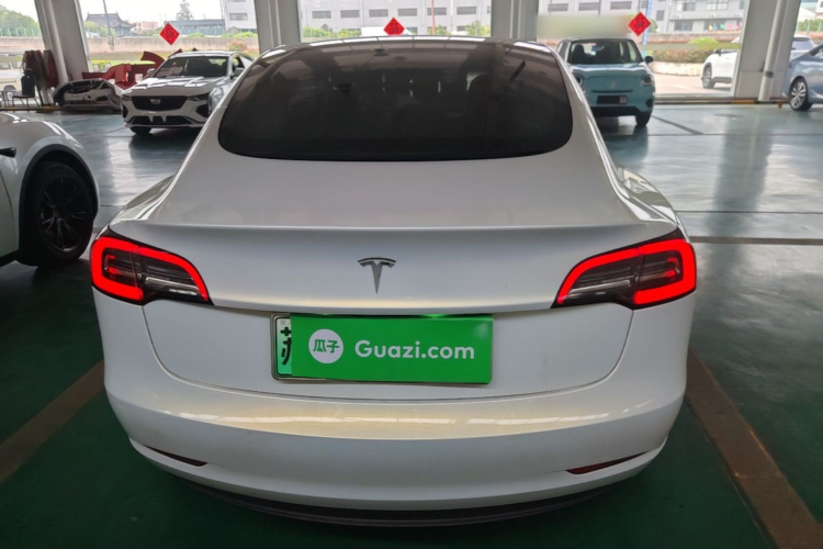 Tesla Model 3 2020 car image #6