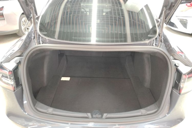 Tesla Model 3 2020 car image #19