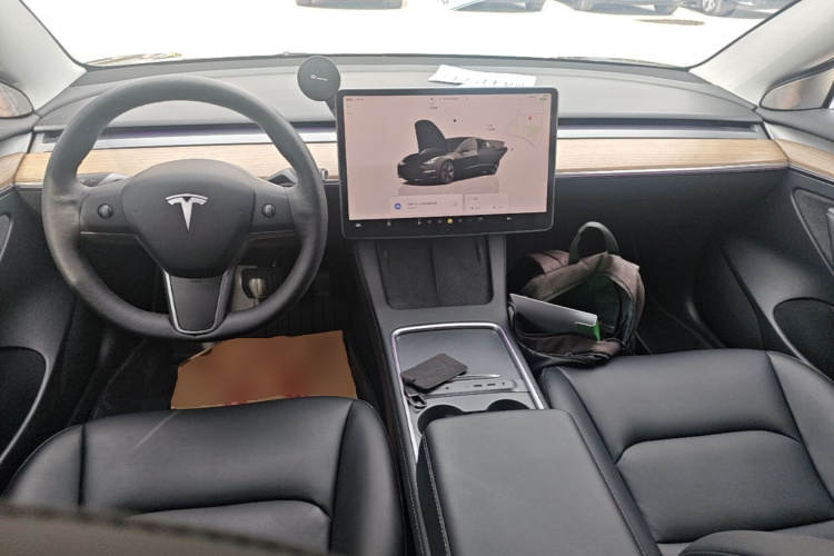 Tesla Model 3 2022 car image #10