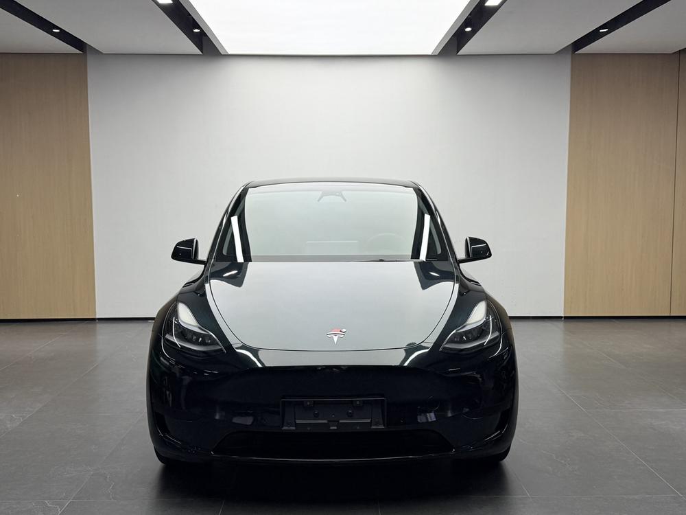Tesla Model Y 2023 immagine di auto #2