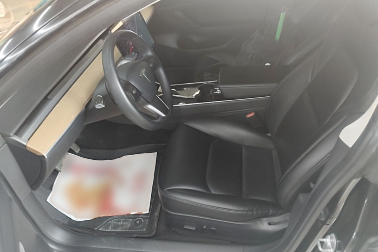 Tesla Model 3 2020 car image #15