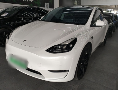 Tesla Model Y 2022 Tesla Model Y 2022 car image