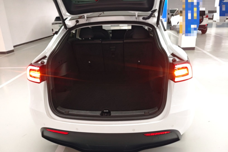 Tesla Model Y 2023 #19 Tesla Model Y 2023 car image #19