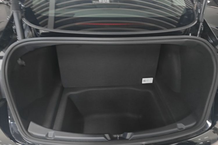 Tesla Model 3 2020 car image #19