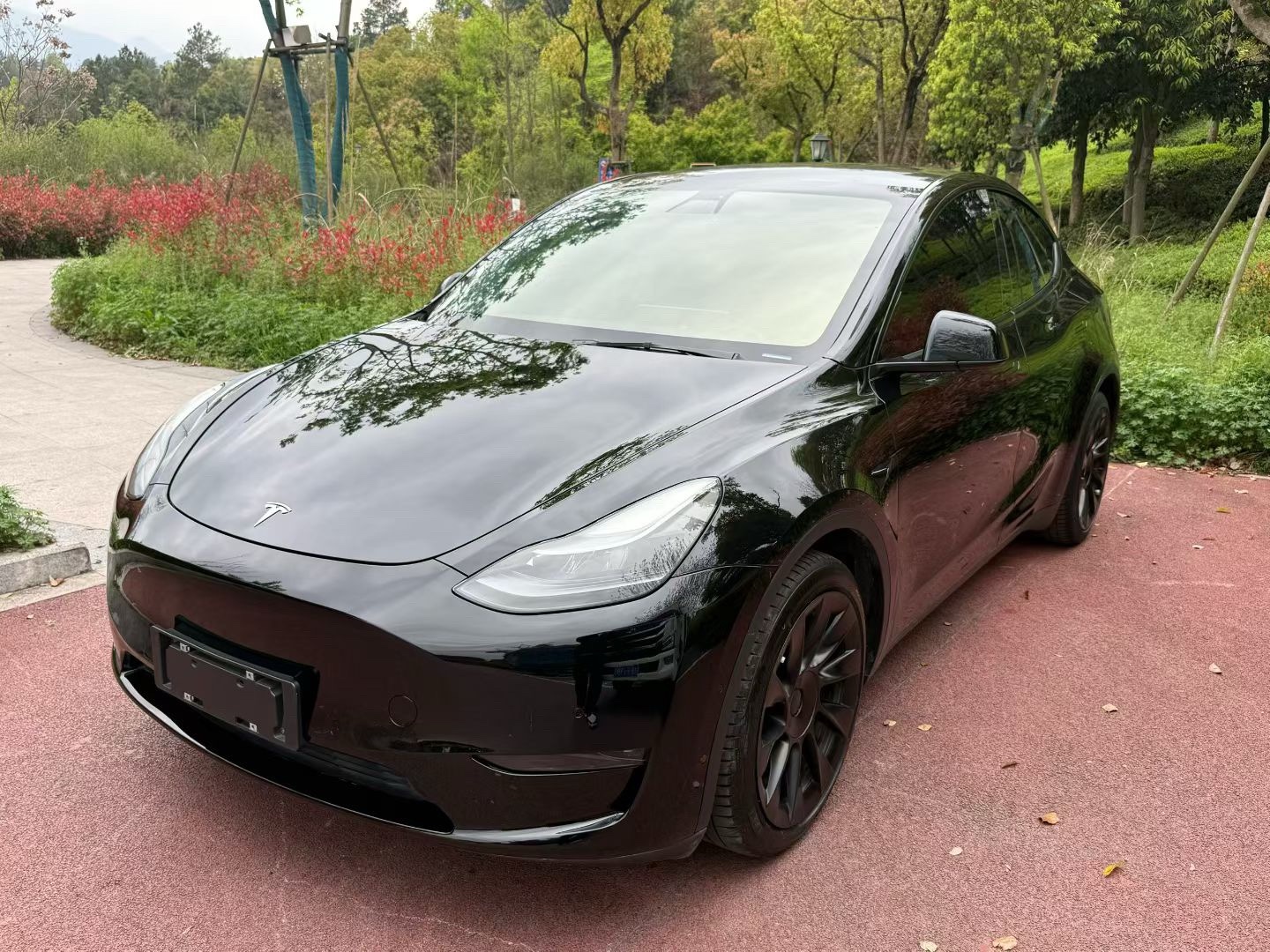 Tesla Model Y 2021 Tesla Model Y 2021 car image