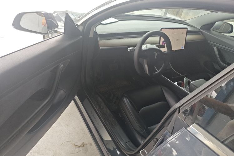 Tesla Model 3 2020 car image #16