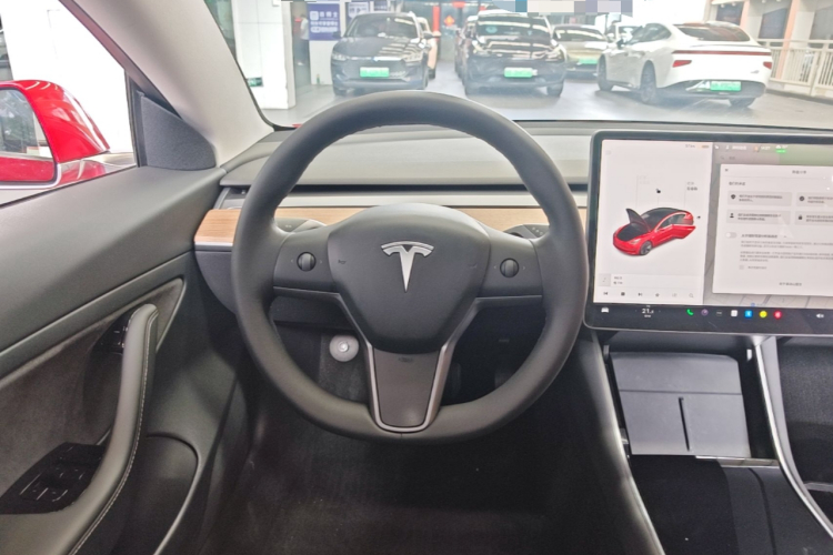 Tesla Model 3 2020 car image #11