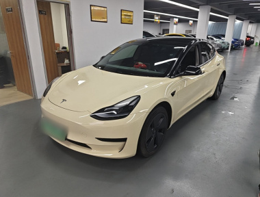 Tesla Model 3 2023 car image 
