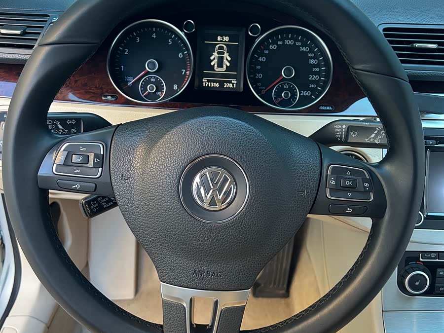 大众 Passat 2010 汽车图片 #15