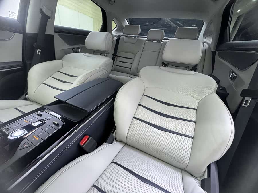 BYD e9 2021 car image #15