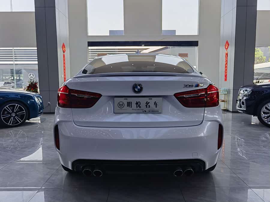 BMW X6 M 2019 car image #15
