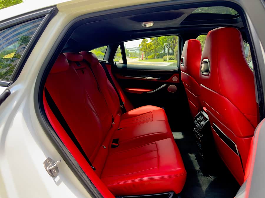 BMW X6 M 2017 car image #15