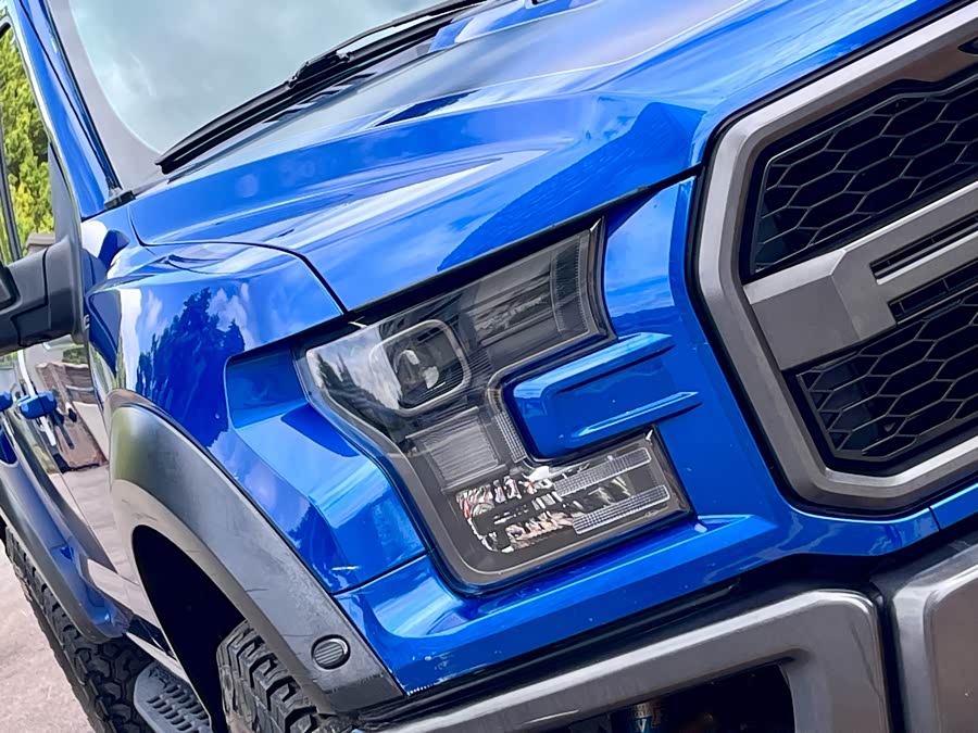 Ford F-150 Raptor 2018 car image #15