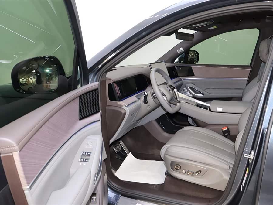 Denza N9 2025 car image #15