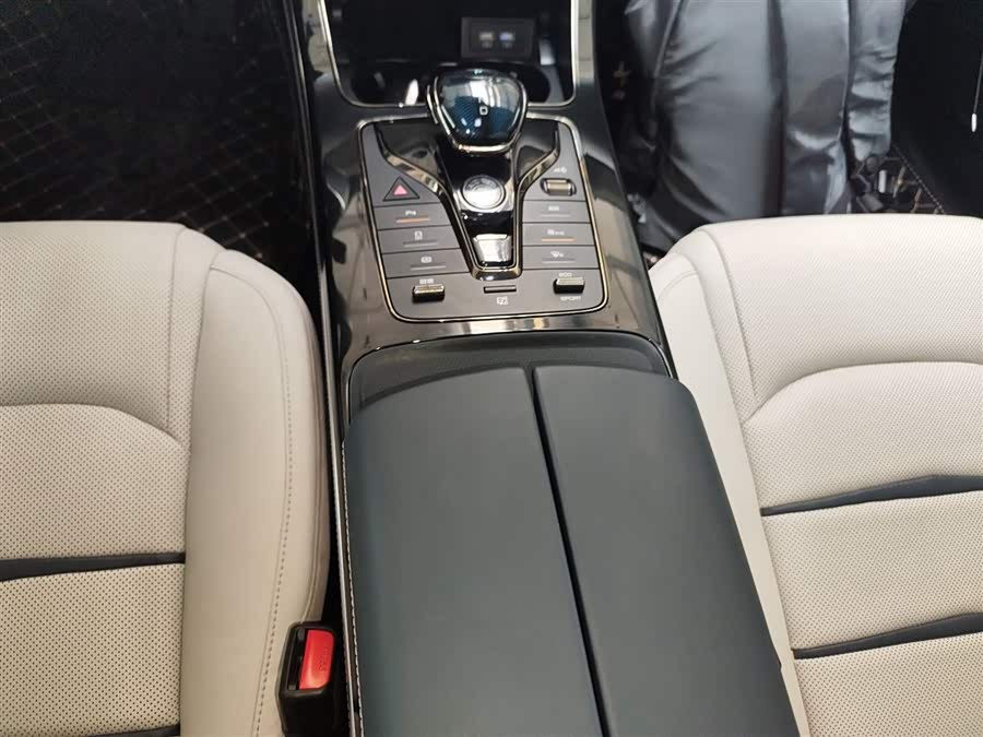 BYD e9 2021 car image #15