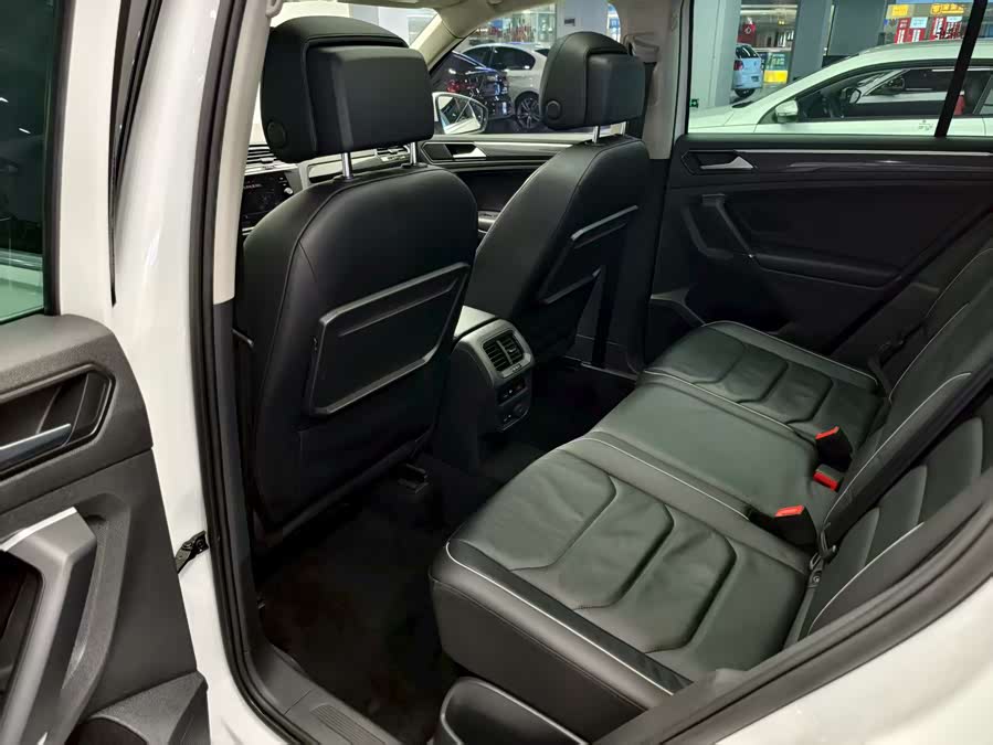 大众 Tiguan 2019 汽车图片 #15
