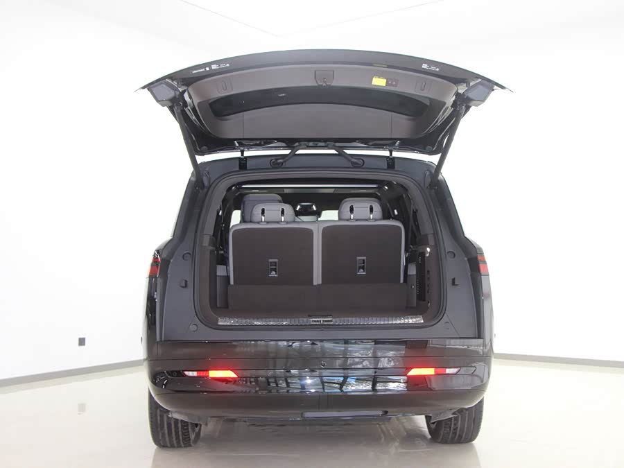 Denza N9 2025 immagine di auto #15