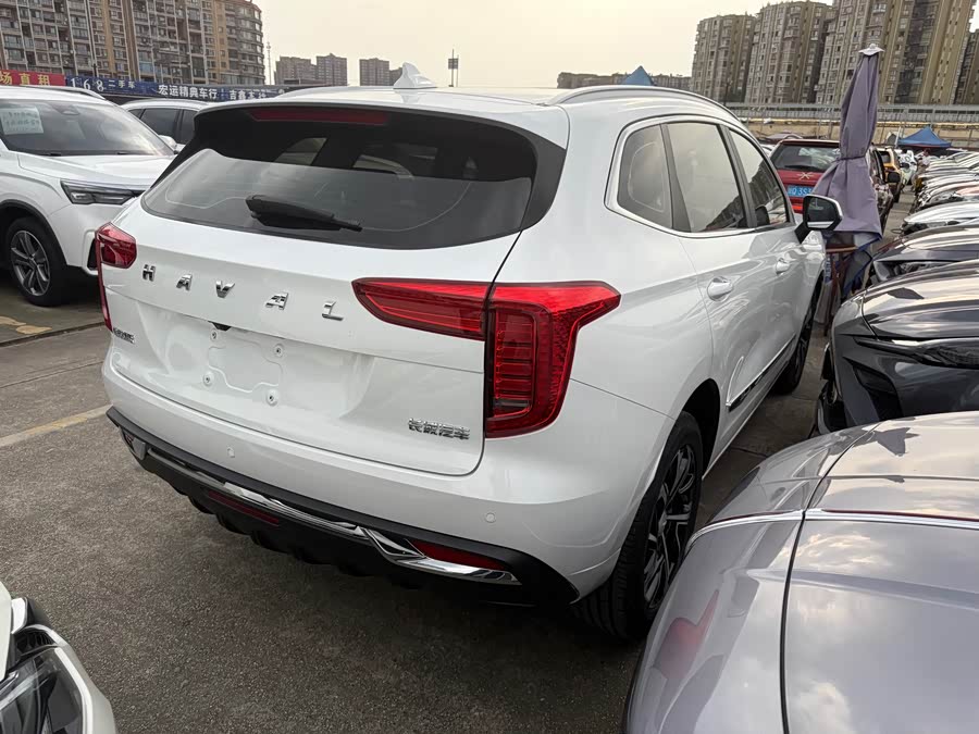 Haval Jolion 2020 car image #15